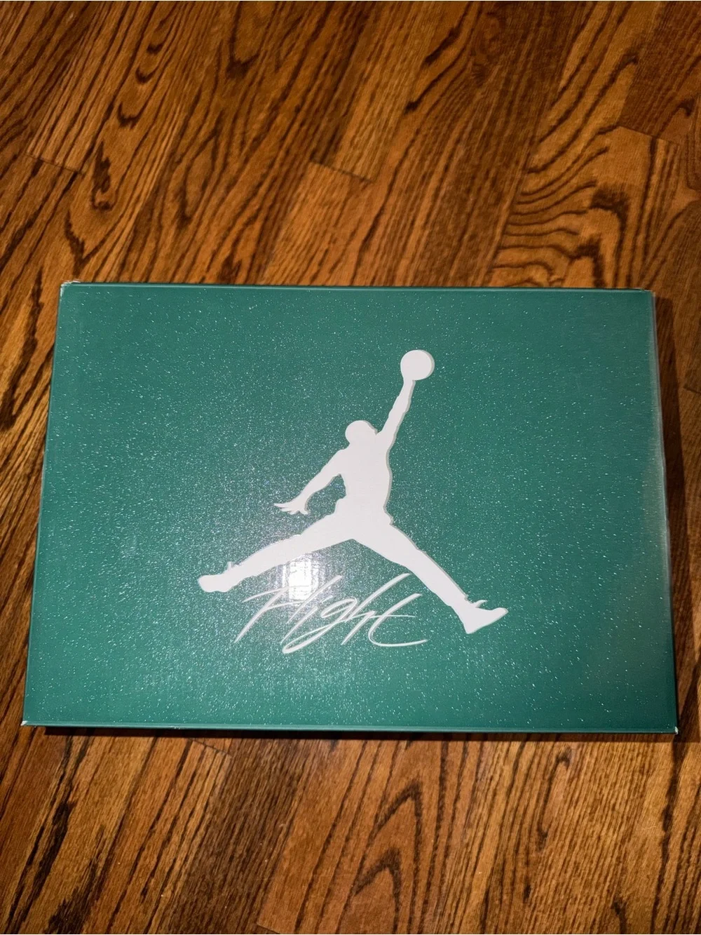 Air Jordan 4 Metallic Green Men 9.5